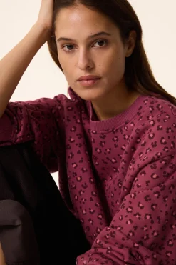 Sweat Hanita|Des Petit Hauts Hot